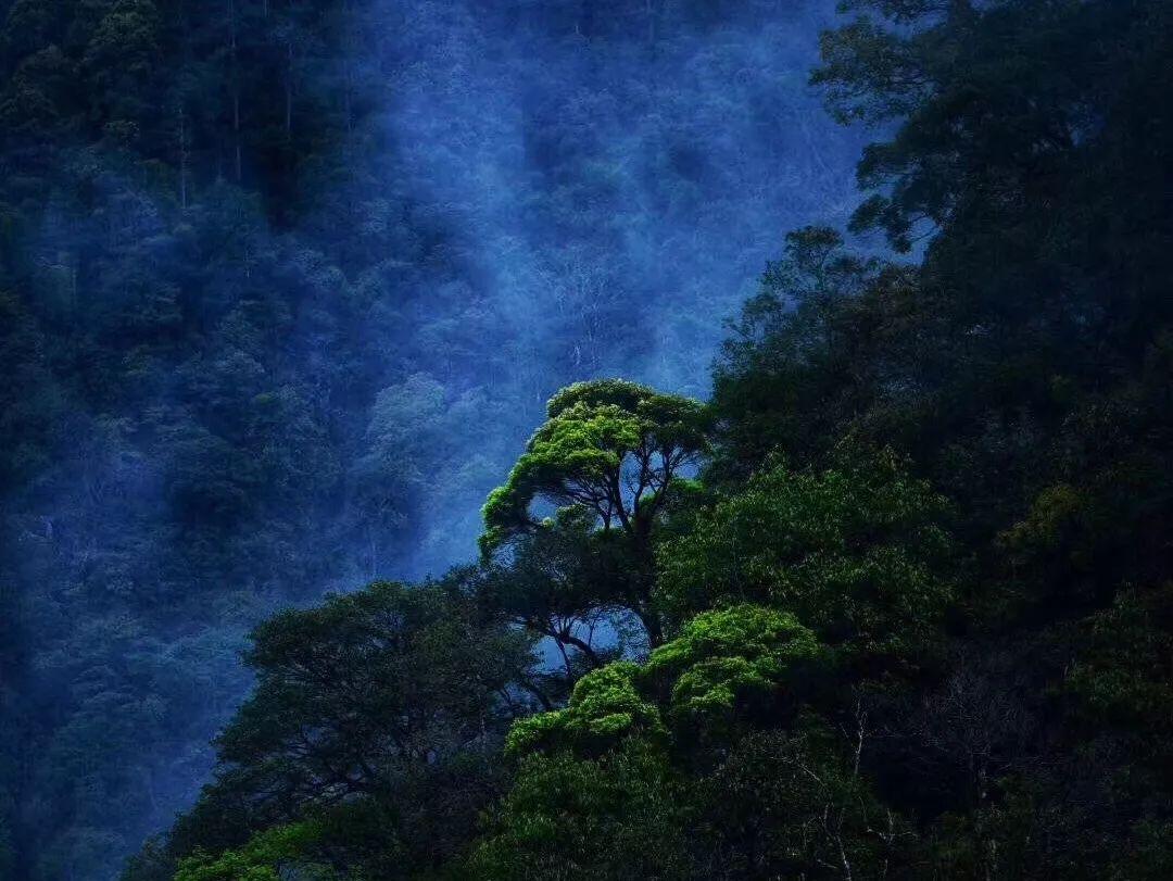 逃离废弃的城堡