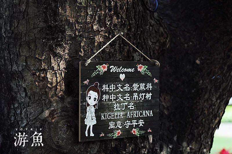 小猫钓鱼开船版最新版下载
