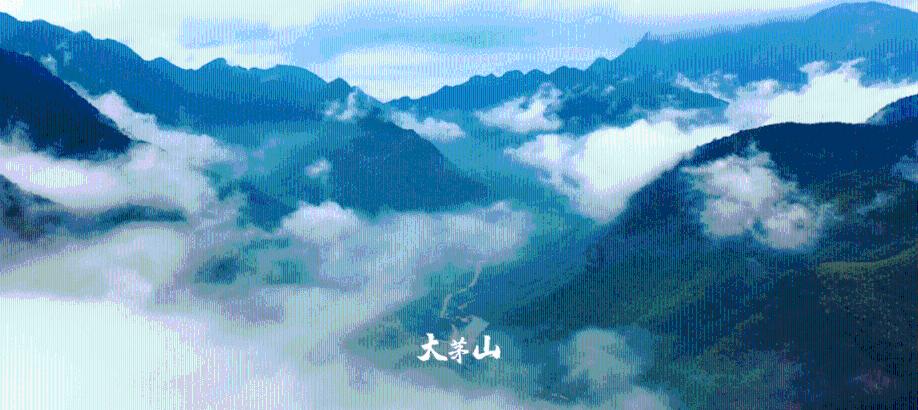 蓝色紫色
