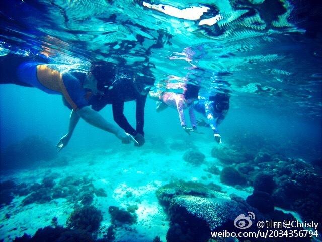 燃烧吧大脑装瓶子游戏