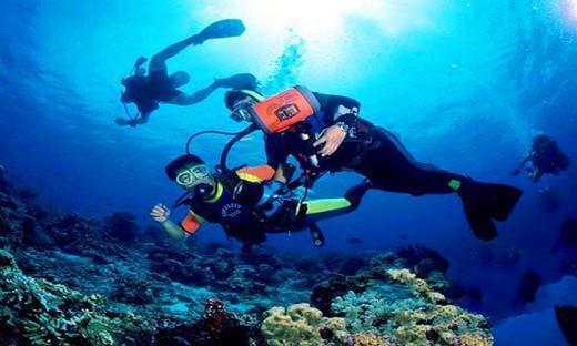 上海恢复堂食后，8000多家咖啡馆的生存状况如何？游戏画面