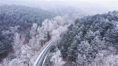 四婚迎娶“小娇妻”,他是伦敦最酷的华裔,靠“吃”打出一片天下